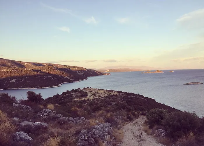 Laguna *
